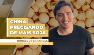Ronaldo Fernandes - Analista de Mercado Royal Rural