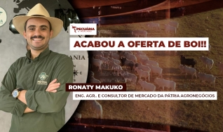 Ronaty Makuko - Eng. Agrôn. e Consultor de Mercardo da Pátria Agronegócios