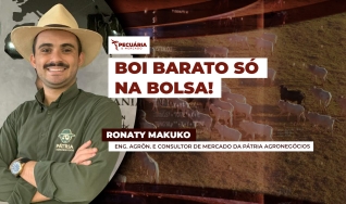 Ronaty Makuko - Eng. Agrôn. e Consultor de Mercado da Pátria Agronegócios