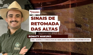 Ronaty Makuko - Eng. Agrôn. e Consultor de Mercardo da Pátria Agronegócios