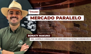 Ronaty Makuko - Eng. Agrôn. e Consultor de Mercardo da Pátria Agronegócios