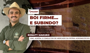 Ronaty Makuko - Eng. Agrôn. e Consultor de Mercado da Pátria Agronegócios