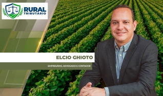 Elcio Ghioto