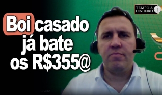 Thiago Bernardino