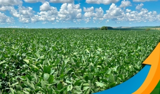 Marcos Moura - Responsável Técnico pela Moura Projetos Agrícolas