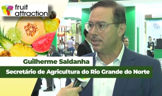 Guilherme Saldanha