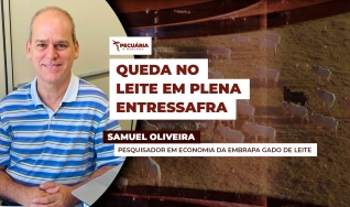 Samuel Oliveira - Pesquisador em Economia da Embrapa Gado de Leite