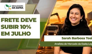 Sarah Barbosa Tosi - Analista de Mercado da Esalq-Log