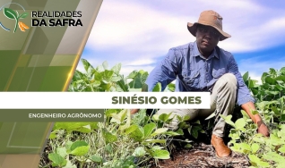 Sinésio Gomes - Engenheiro Agrônomo