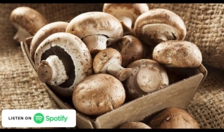 Podcast Eu Como