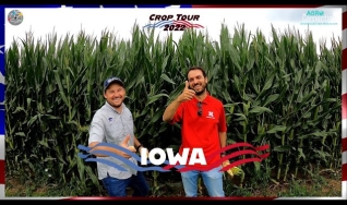 Agro Connection