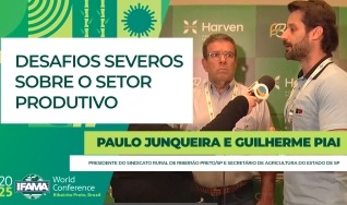 Paulo Junqueira e Guilherme Piai