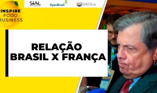 Luís Fernando de Andrade Serra, Embaixador Brasileiro na França