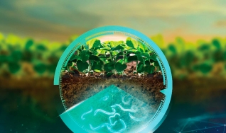 Mariana Calaça - Coordenadora de Novos Negócios da Syngenta Digital