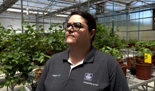 Amanda Augusto - Analista de Desenvolvimento Yara