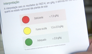 Fábio Ortiz - Pesquisador Embrapa Soja