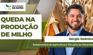 Sérgio Delmiro - Subsecretário de Agricultura e Pecuária do Maranhão