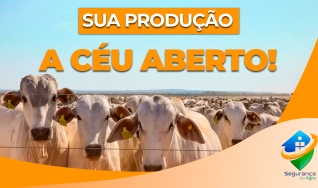 Carlos Zumerle, especialista em segurança no agro