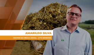 Amarildo Silva - Doutor em ciência animal - ATTO Sementes