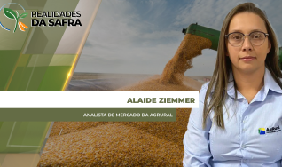 Alaide Ziemmer - Analista de Mercado da Agrural
