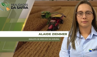 Alaide Ziemmer - Analista de Mercado da Agrural