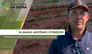 Albano Antônio Strieder - Engenheiro Agrônomo do Sindicato Rural de São Borja/RS