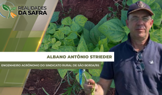 Albano Antônio Strieder - Engenheiro Agrônomo do Sindicato Rural de São Borja/RS