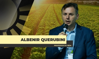 Albenir Querubini - Professor do IBDA
