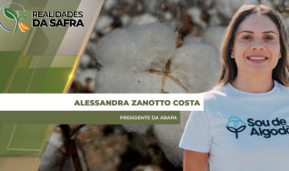 Alessandra Zanotto Costa - Presidente da Abapa