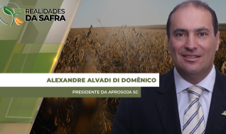 Alexandre Alvadi Di Domênico - Presidente da Aprosoja SC