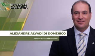 Alexandre Alvadi Di Domênico - Presidente da Aprosoja SC