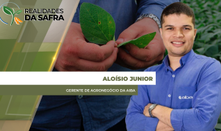 Aloísio Junior - Gerente de Agronegócio da Aiba