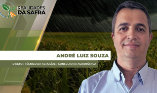 André Luiz Souza - Diretor Técnico da AgroLíder Consultoria Agronômica