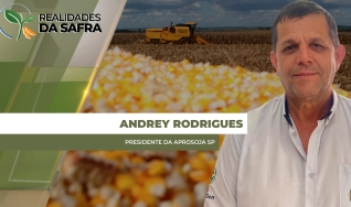 Andrey Rodrigues - Presidente da Aprosoja SP