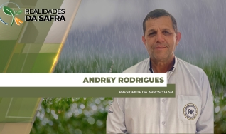 Andrey Rodrigues - Presidente da Aprosoja SP