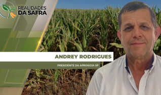 Andrey Rodrigues - Presidente da Aprosoja SP