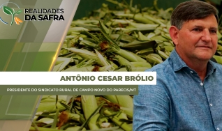 Antônio Cesar Brólio - Presidente do Sindicato Rural de Campo Novo do Parecis/MT