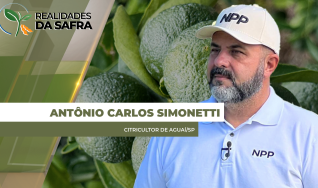 Tony Simonetti - Citricultor