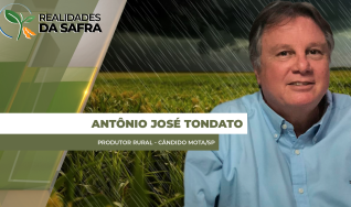 Antônio José Tondato - Produtor Rural - Cândido Mota/SP
