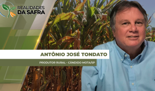 Antônio José Tondato - Produtor Rural - Cândido Mota/SP