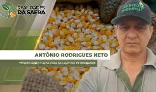 Antônio Rodrigues Neto - Técnico Agrícola da Casa da Lavoura de Dourados