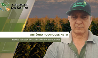 Antônio Rodrigues Neto - Técnico Agrícola da Casa da Lavoura de Dourados