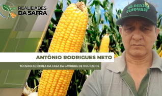Antônio Rodrigues Neto - Técnico Agrícola da Casa da Lavoura de Dourados
