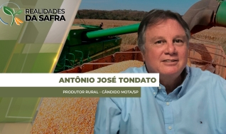Antônio José Tondato - Produtor Rural - Cândido Mota/SP