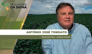 Antônio José Tondato - Produtor Rural - Cândido Mota/SP