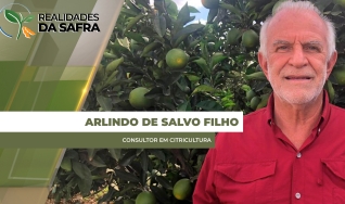 Arlindo de Salvo Filho - Consultor em Citricultura