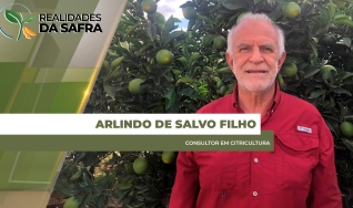Arlindo de Salvo Filho - Consultor em Citricultura
