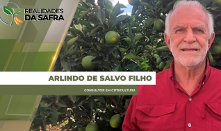 Arlindo de Salvo Filho - Consultor em Citricultura