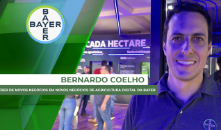Bernardo Coelho