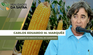 Carlos Eduardo M. Marquêz - Presidente do Sindicato Rural de Caarapó/MS